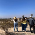 Community Services in San Diego, CA: Focusing on Environmental Conservation